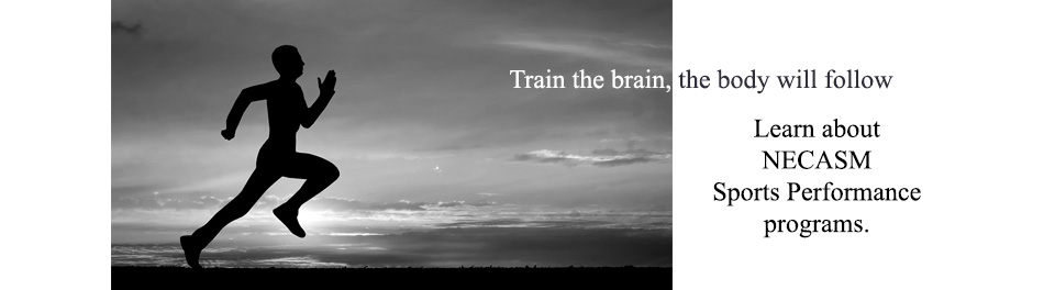 train-the-brain-slide